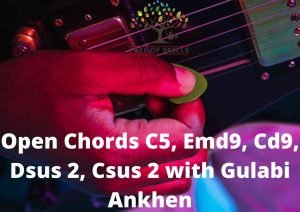 Learn Gulabi Aankhen with Open chords