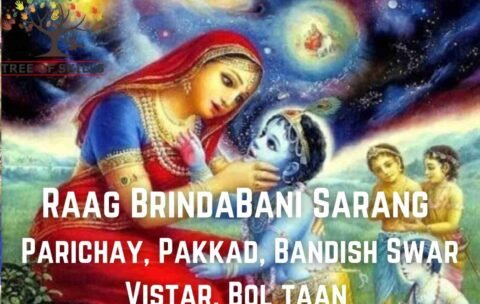 Raag Brindavani Sarang with Raag Parichay, Notation, Bol Taan, Swar Vistar