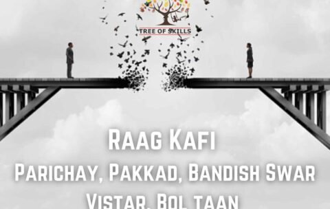 Raag Kafi Bandish, Boltan, Taan